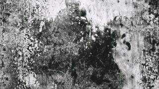 Pour le Papoose - 1912
